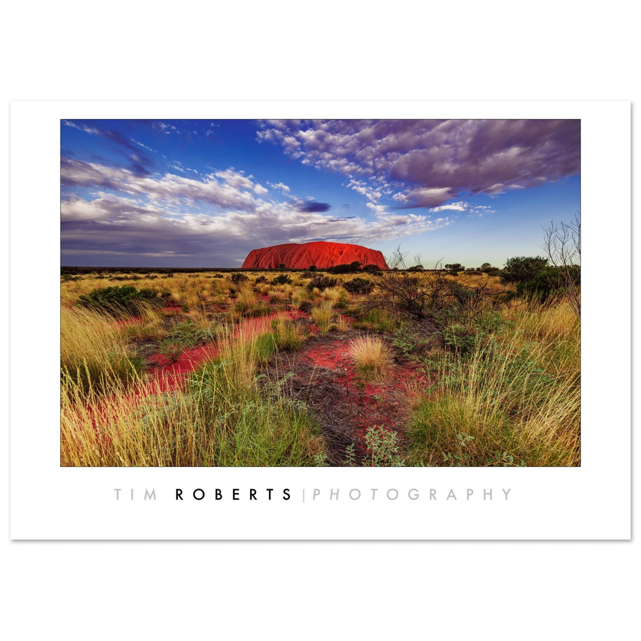 0a948e38-f711-4799-82d2-865c7115eb66