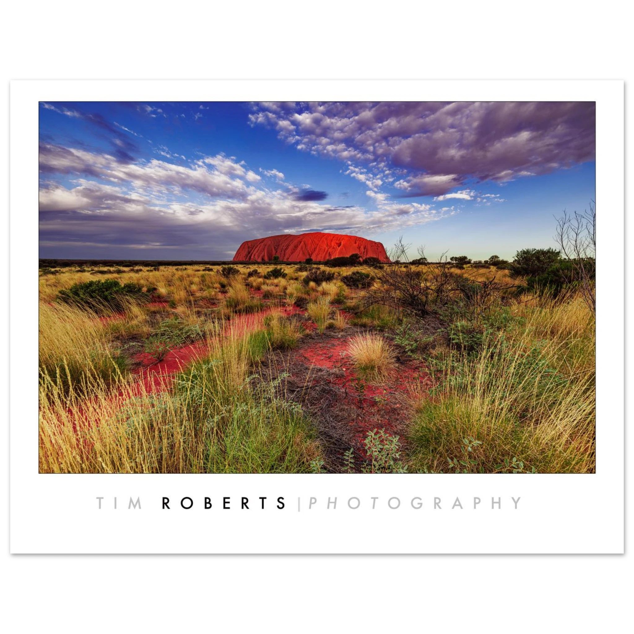 0e622afd-2766-4e3d-8d08-d449b35f9276