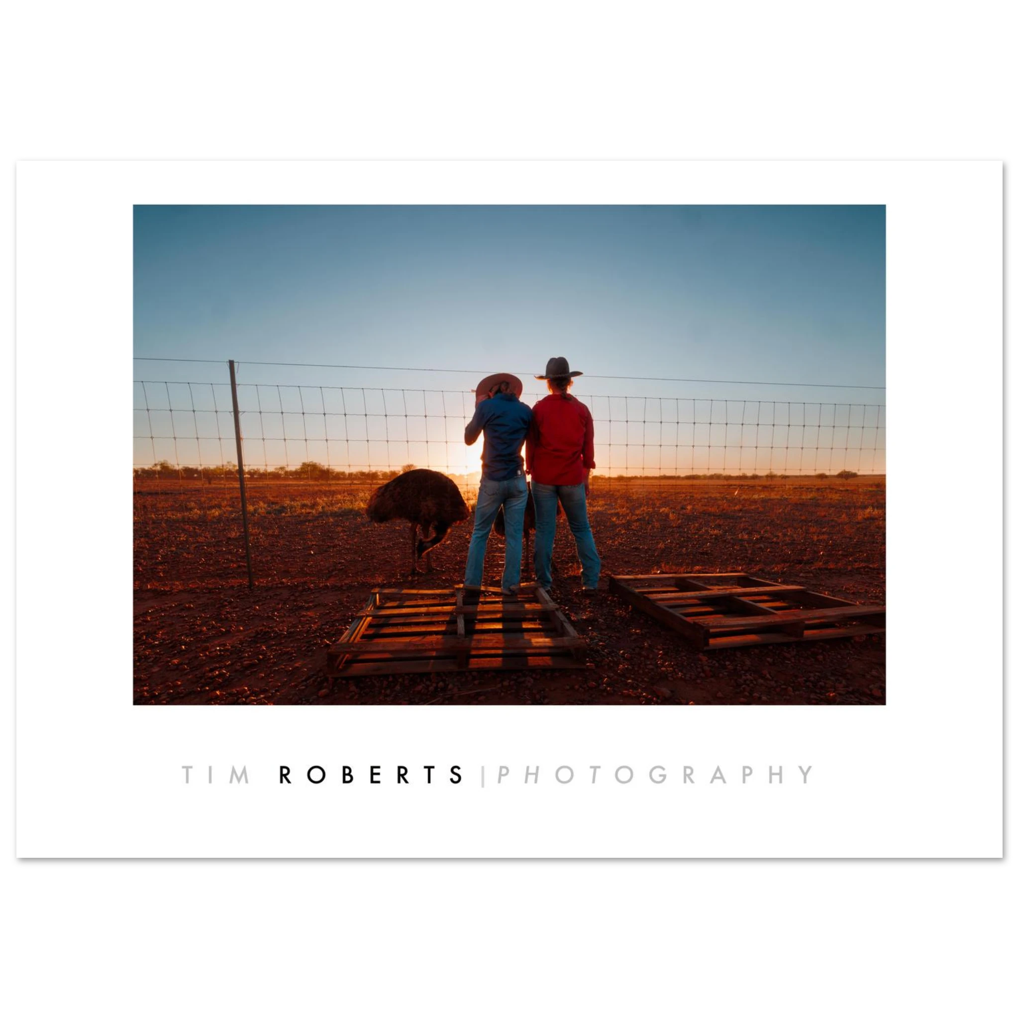 13c2d2cb-606e-4c85-9748-01c5ae7a549c