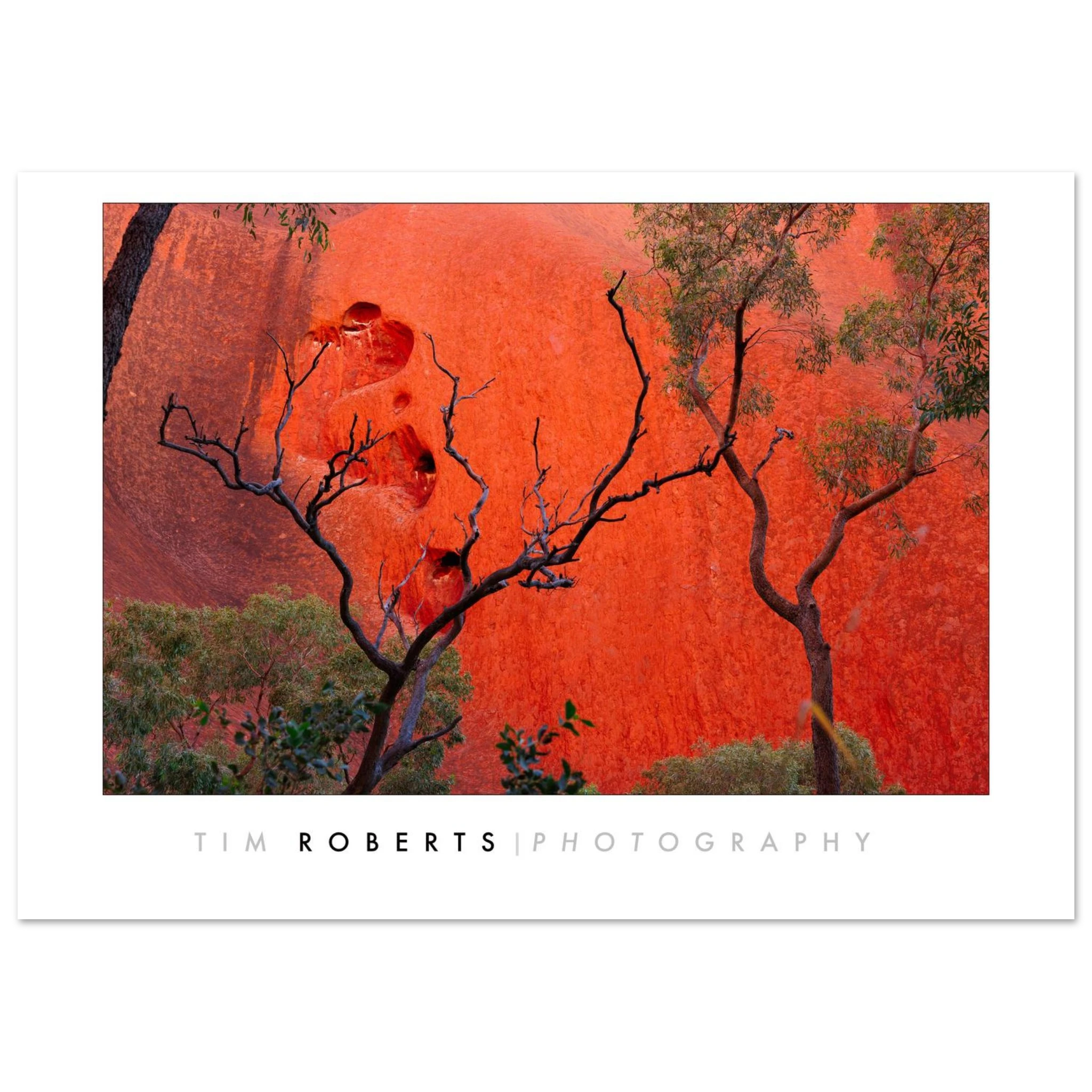 3eab2631-ba4c-4c4a-831b-7f40ed2d5f2a