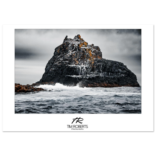 4b4c4cc6-a226-422b-b9d1-5da5609a415a