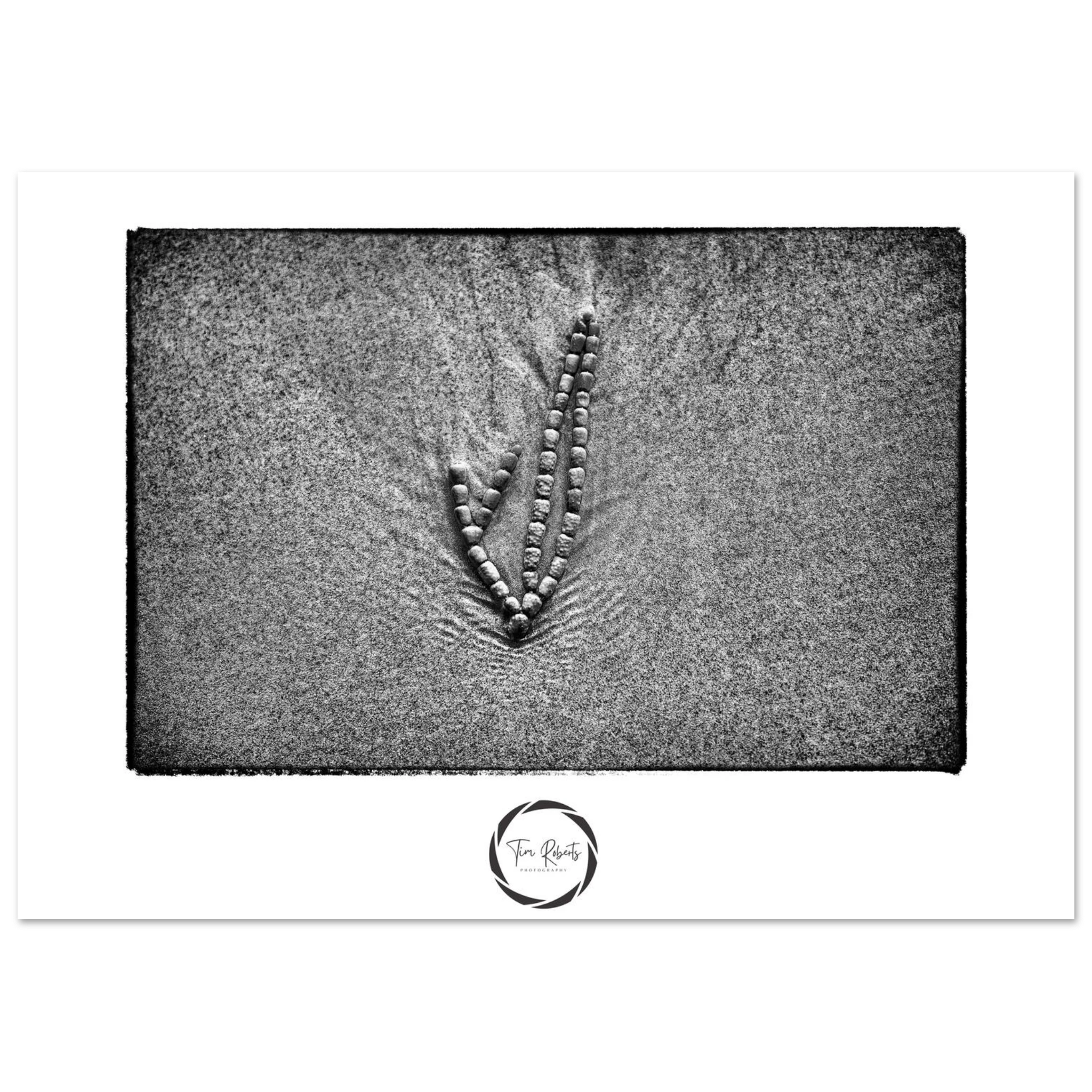 4f4e0616-1f52-4c28-b3fd-e63e4714e309