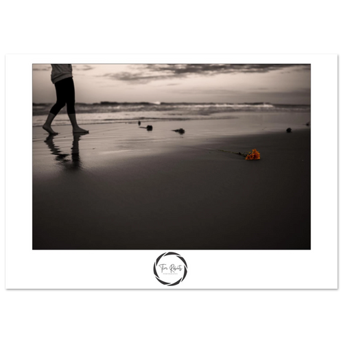 51884bf6-49ac-4a63-9ce3-e5f40c2f5a7c