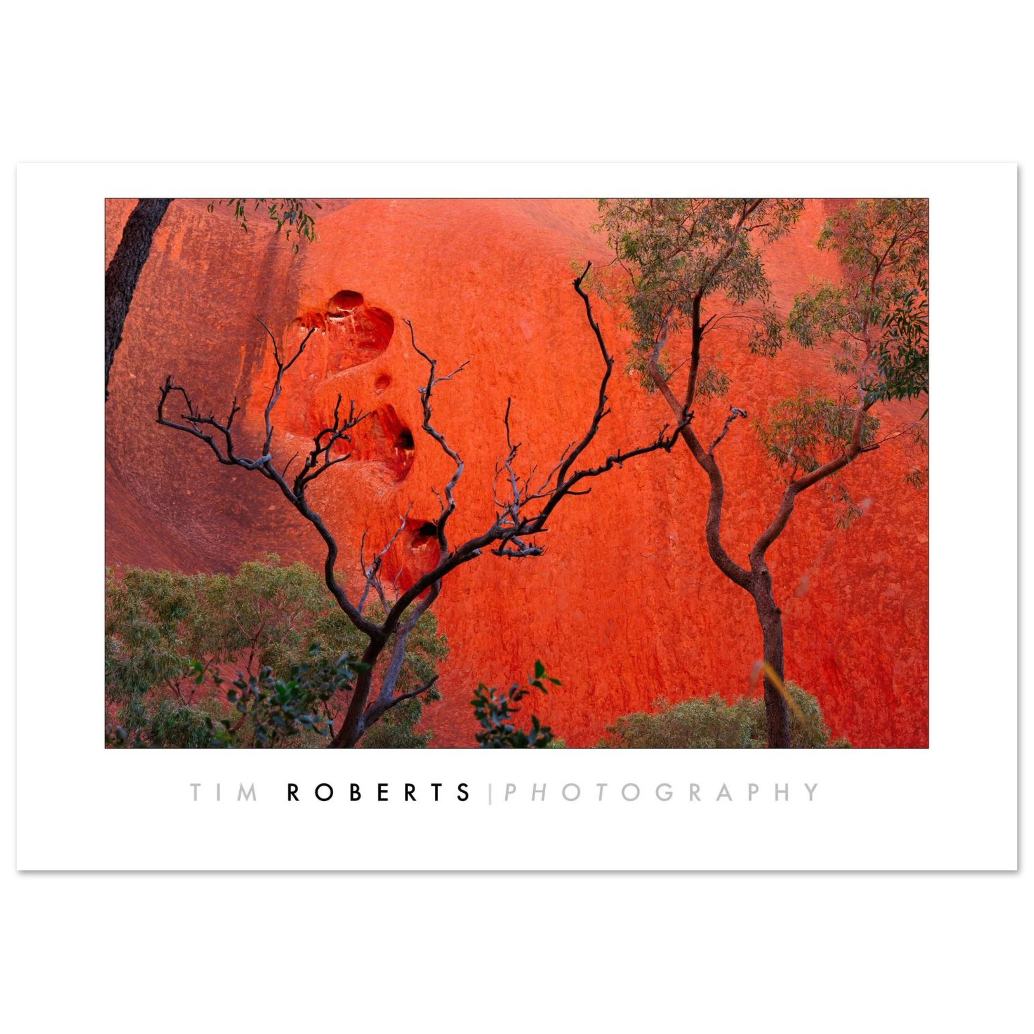 5824db58-515d-4a31-8134-9f27a4f1d108