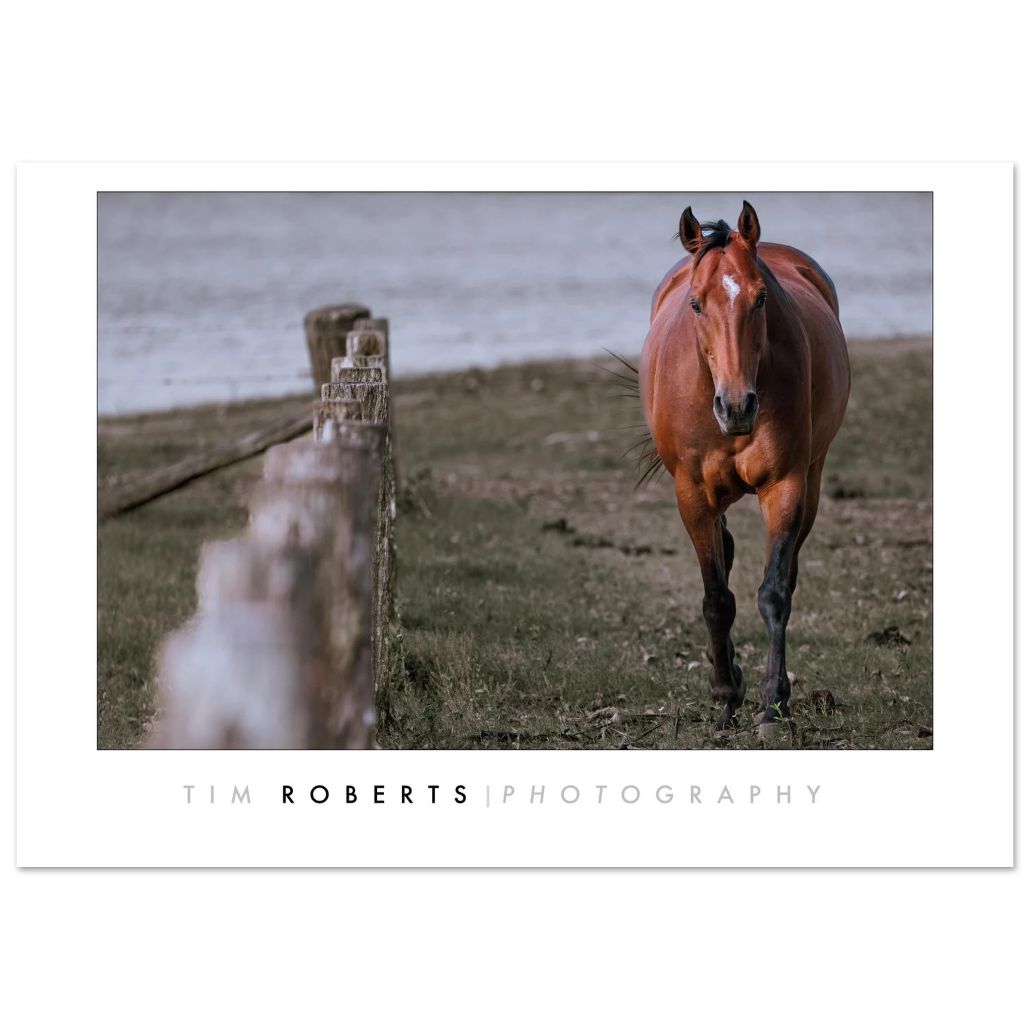 5f68eef7-ec11-464d-8efc-a316e09842b3