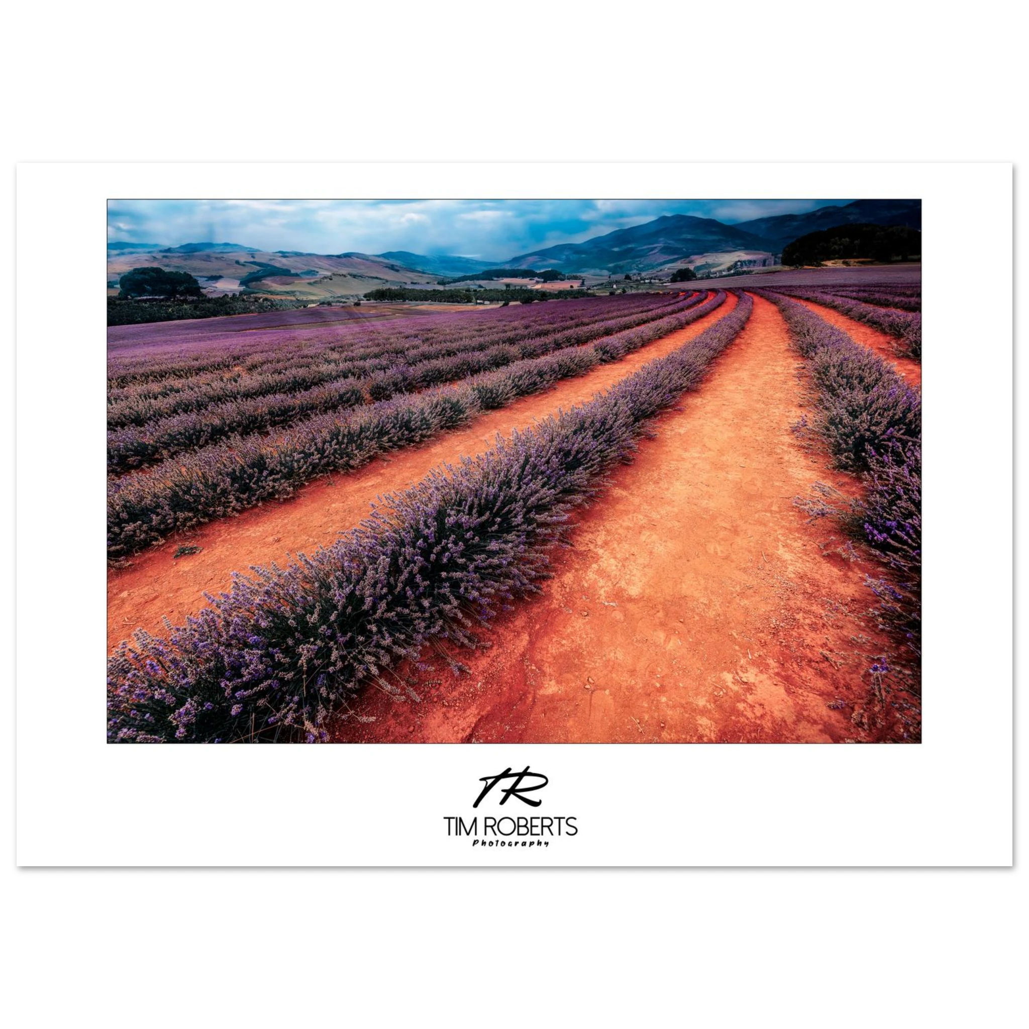 680d3586-44c4-4d40-9b38-a69887c91077