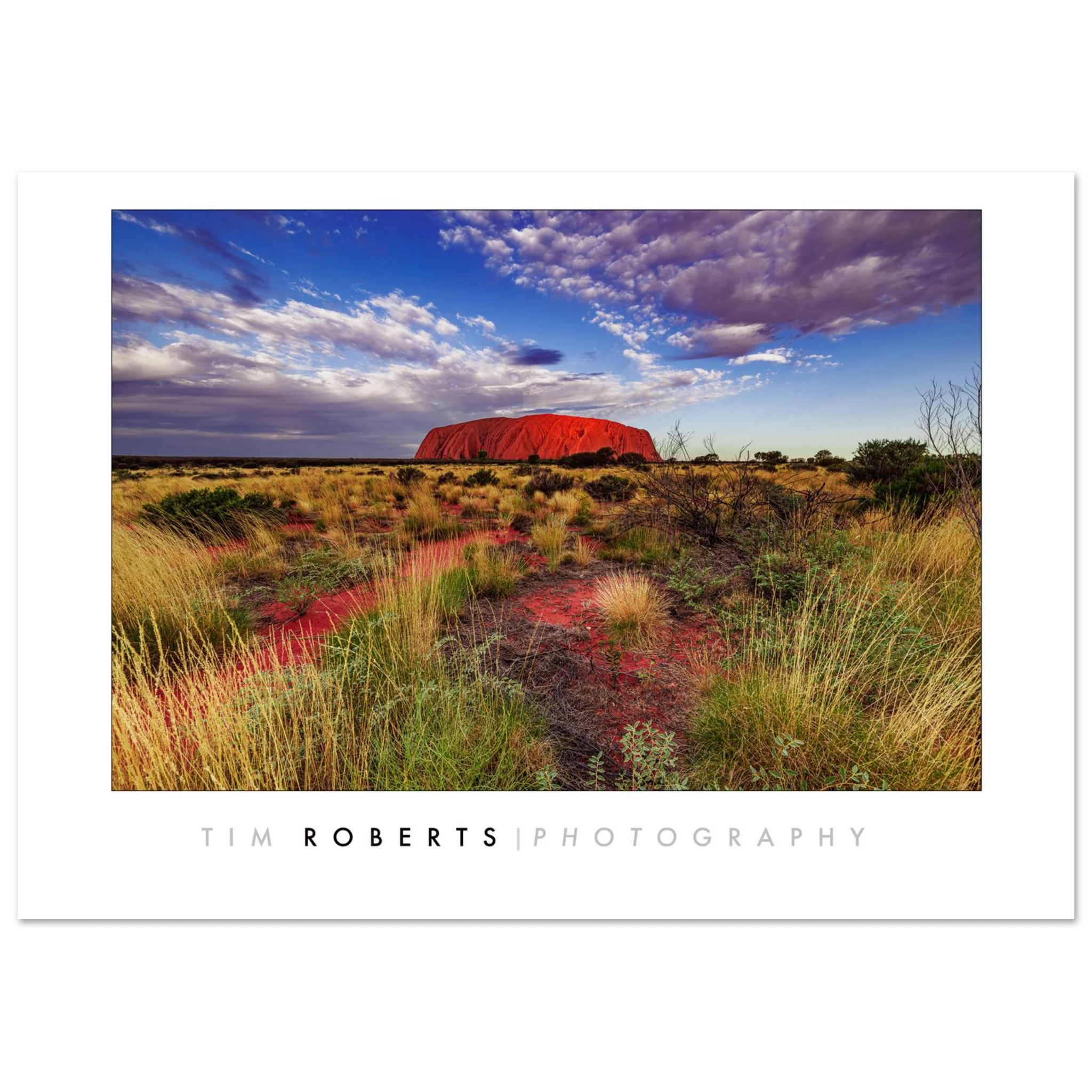 7adeb13b-86bc-42be-9ef5-85b06d95bb11