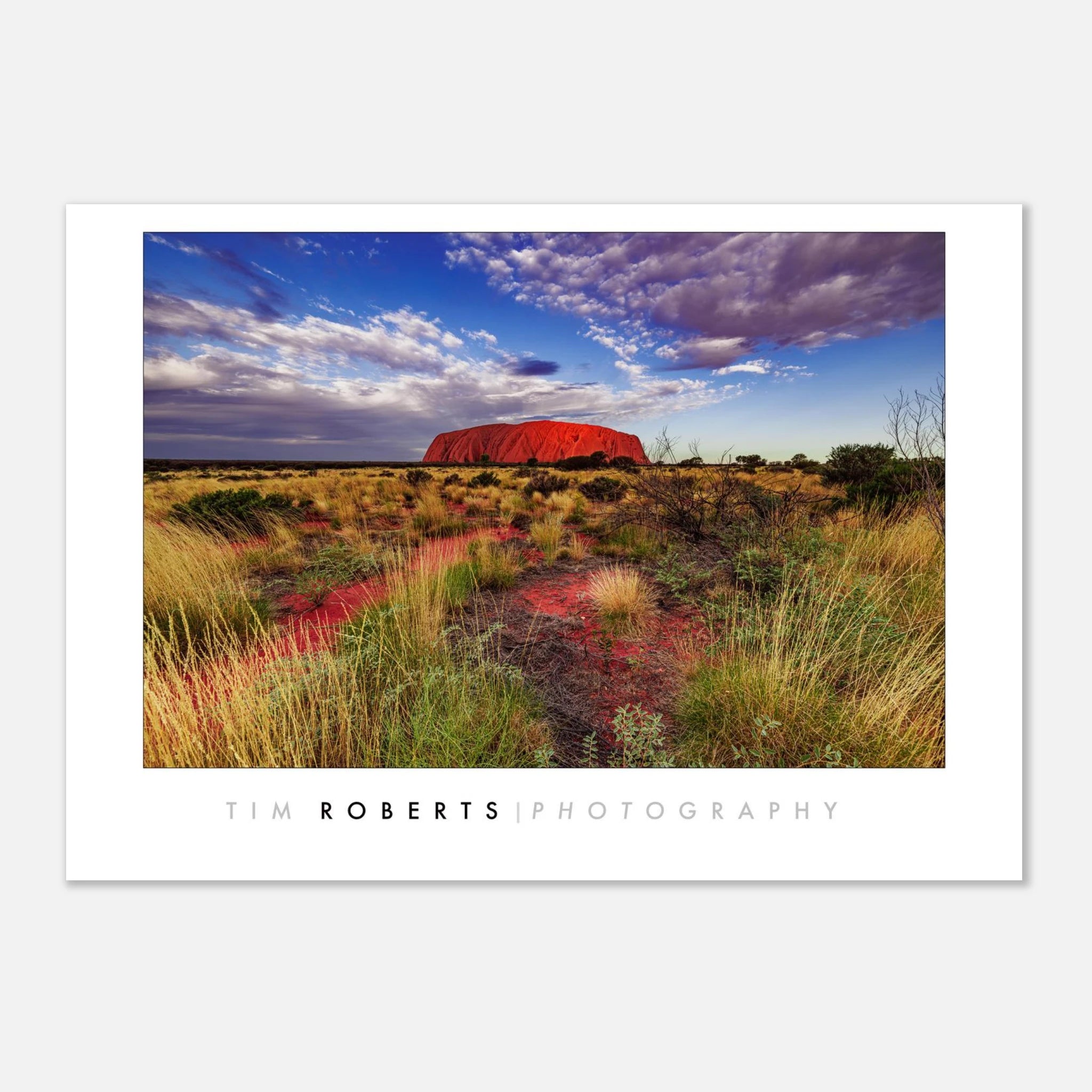 90735e19-bc69-4809-9b67-e5cc678493f3