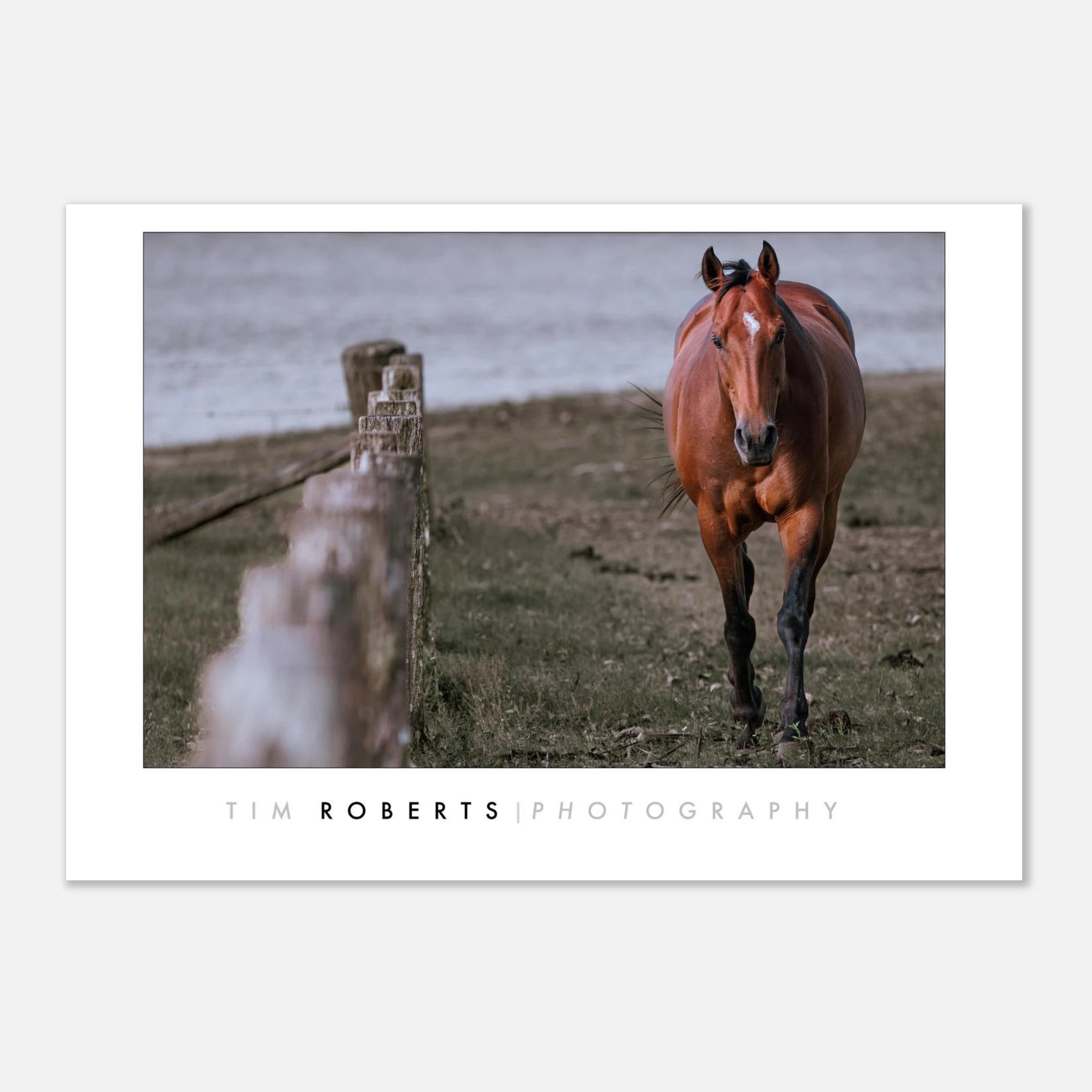 972f36d2-d469-4624-9fc2-dcc946ca0d18