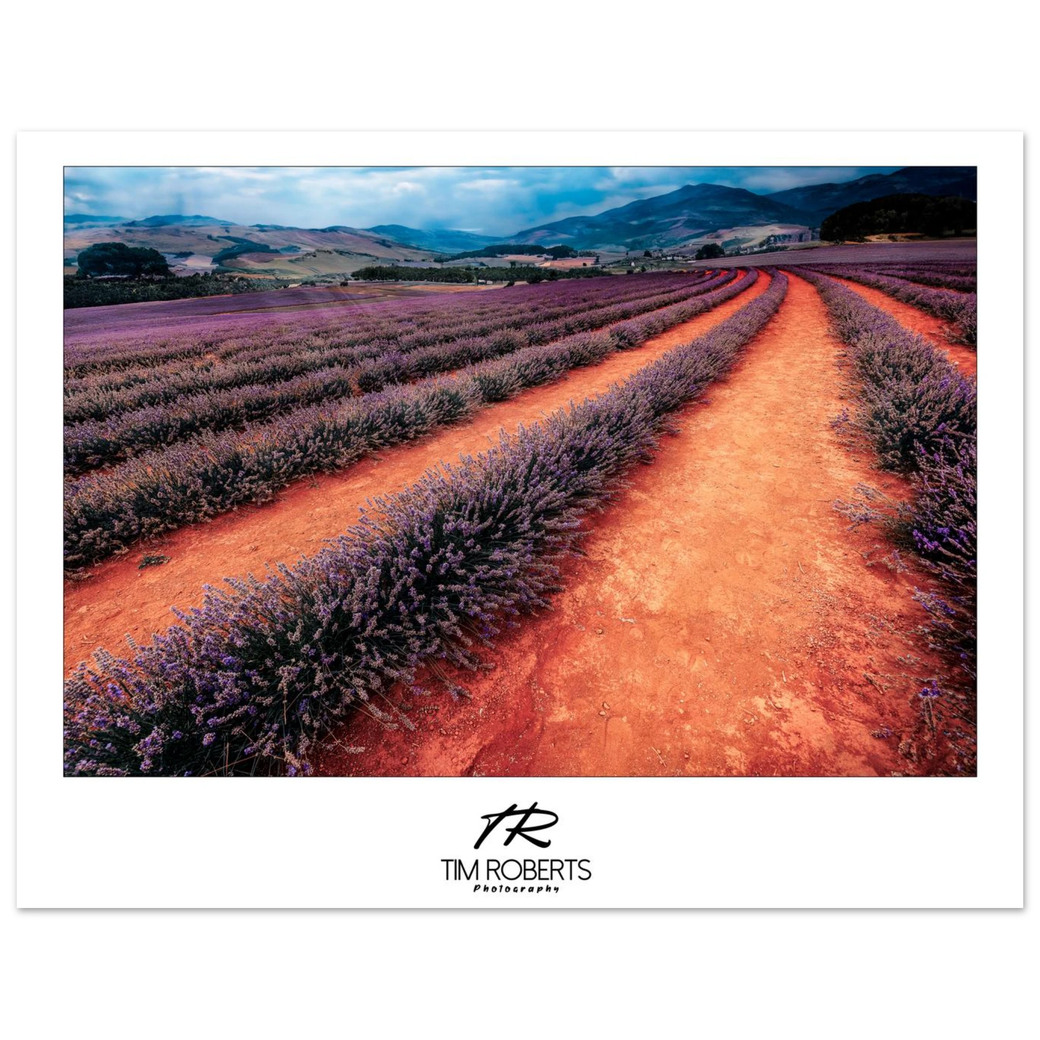 9981c8b0-6e3c-4f85-8009-20a6343c46cf