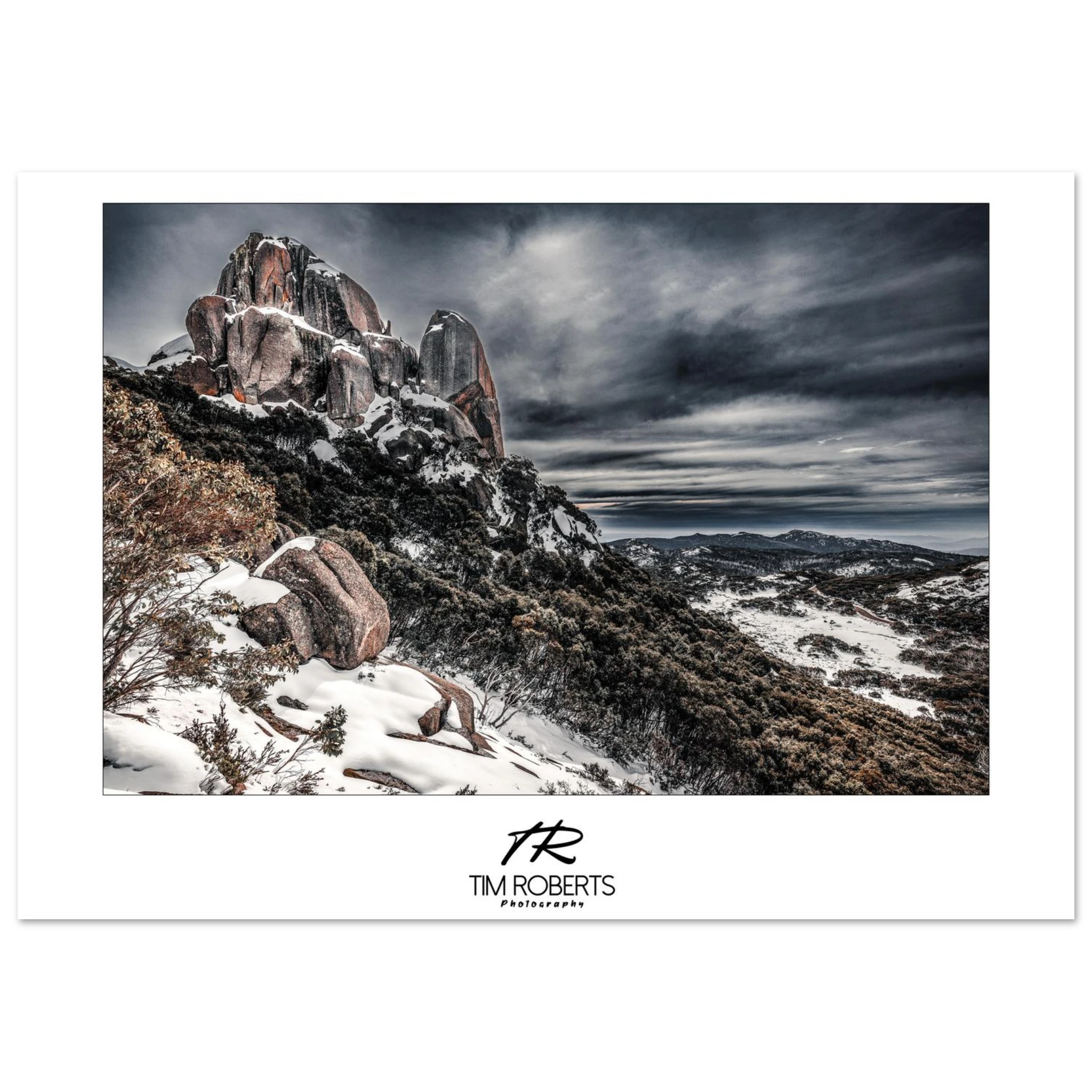 9c729e4a-88bb-452a-9d79-5c5e46747476