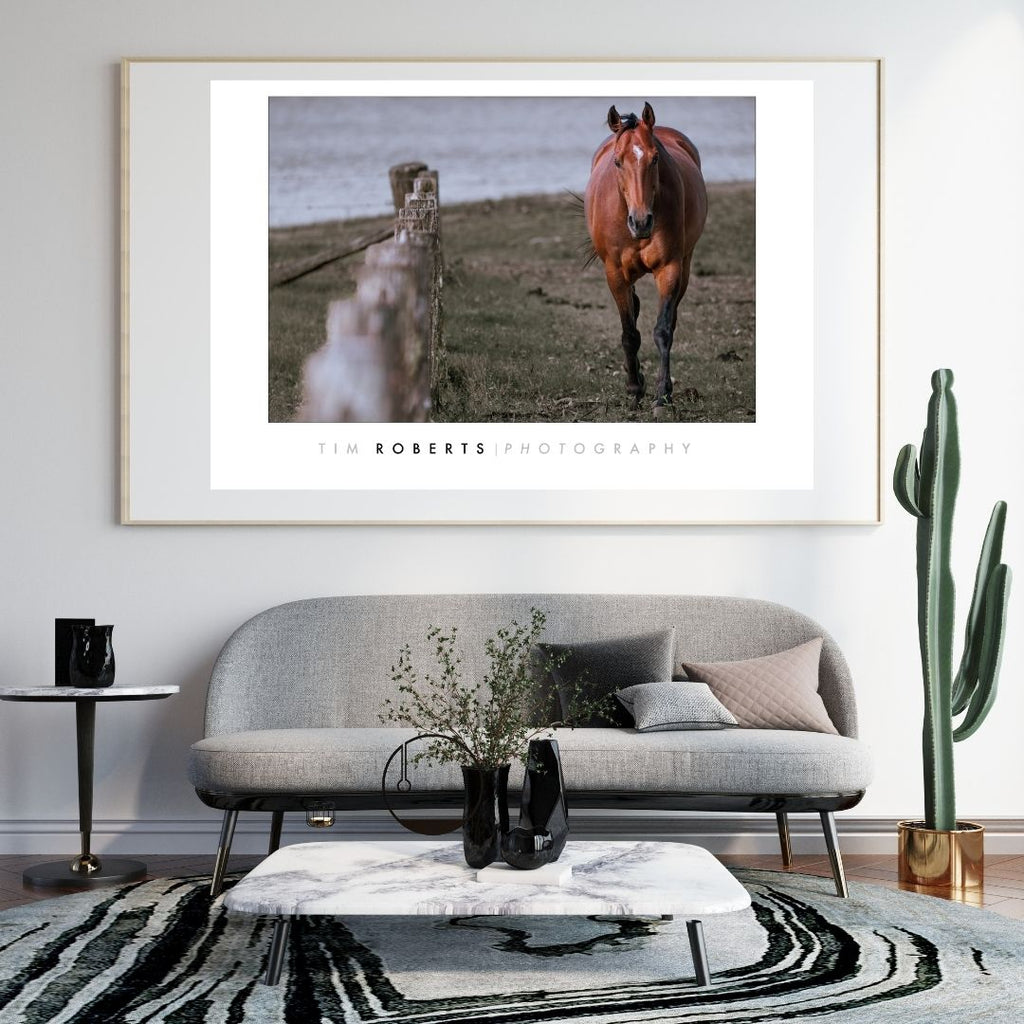 The Steadfast Spirit: Earthy Equine Fine Art Poster – A Tribute to Nature's Grace