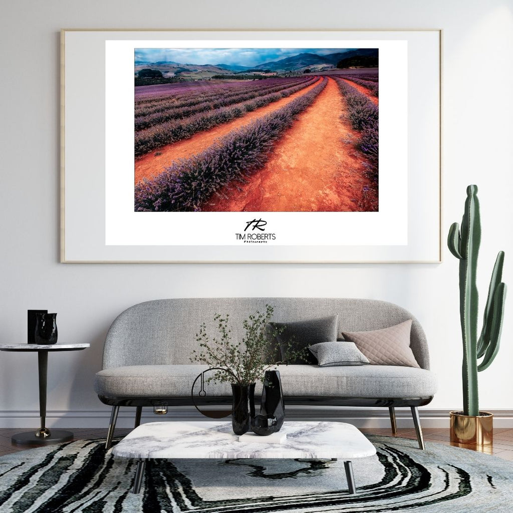 Vibrant Lavender Field Art Print – Nature's Palette Fine Art Poster