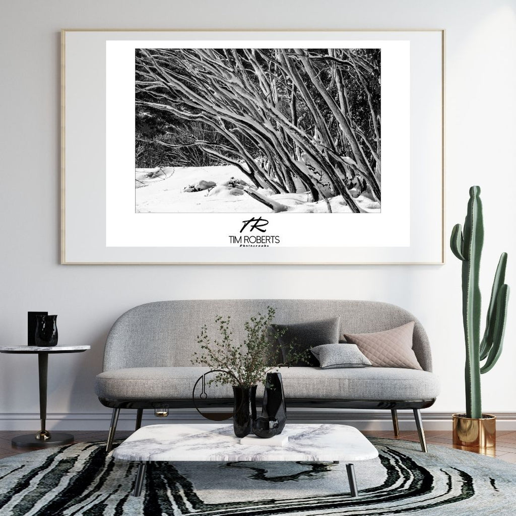 Winter's Embrace: Snow-Kissed Branches Fine Art Poster in Your Choice of Sizes