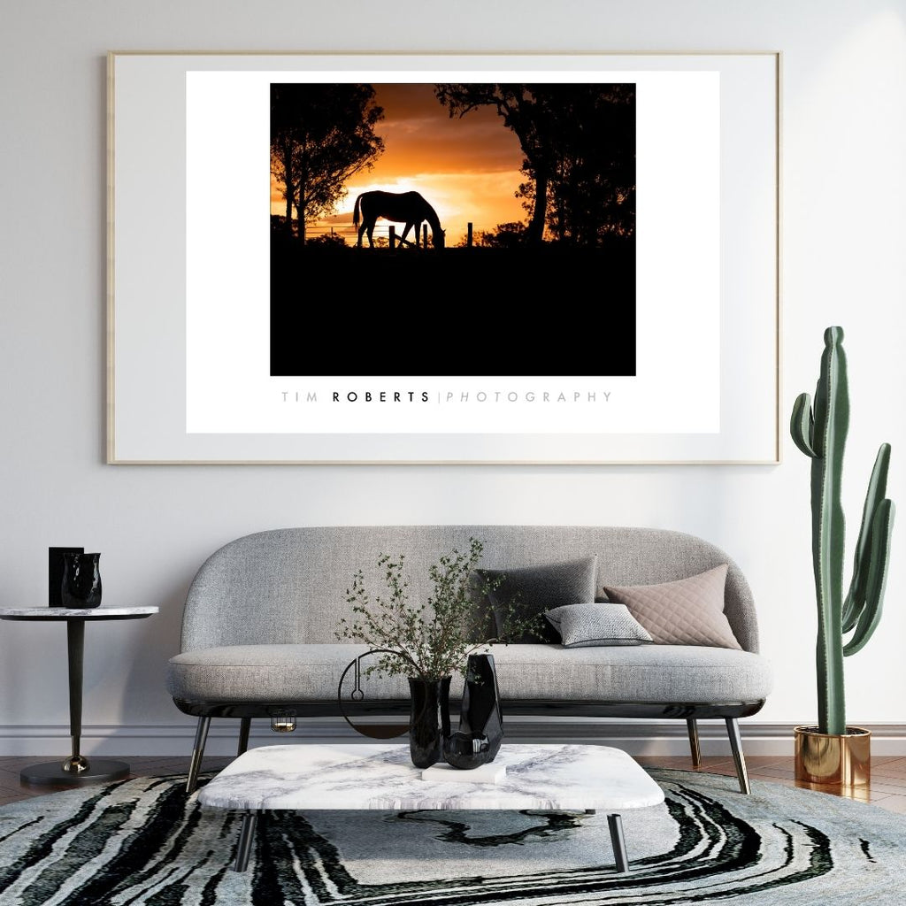 Golden Hour Grazing Horse Fine Art Poster - Sunset Silhouette Wall Art in Various Sizes