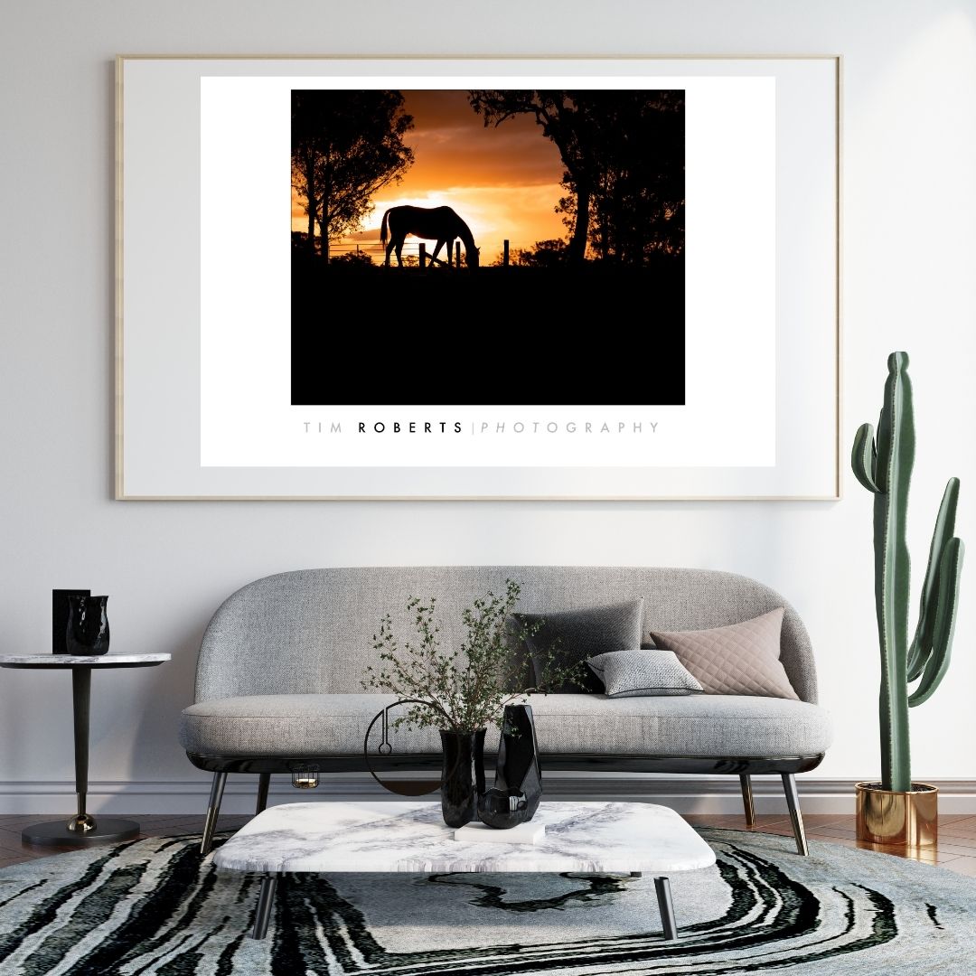 Golden Hour Grazing Horse Fine Art Poster - Sunset Silhouette Wall Art in Various Sizes