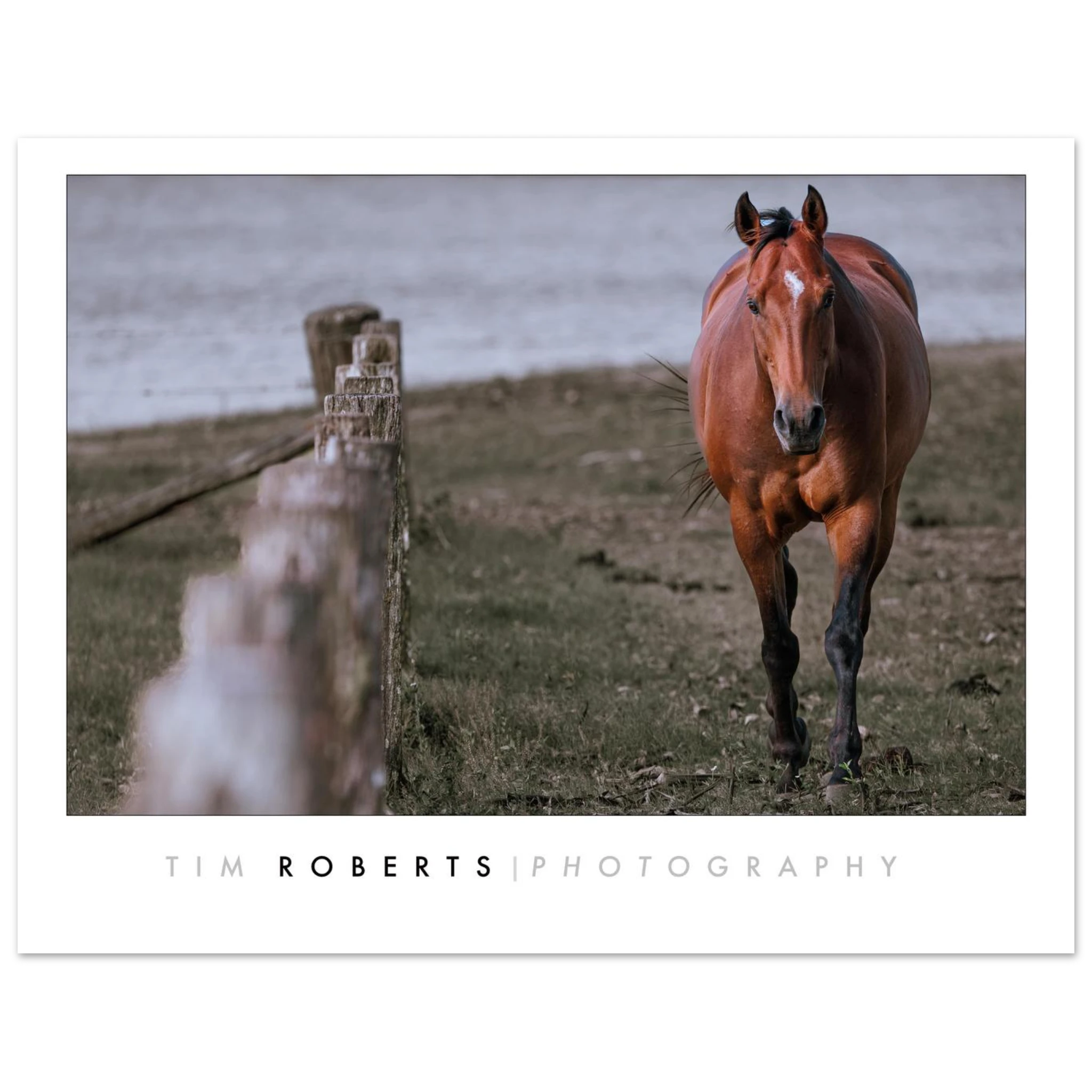 a6383d4d-b7c0-47be-8b81-47d734ccde11