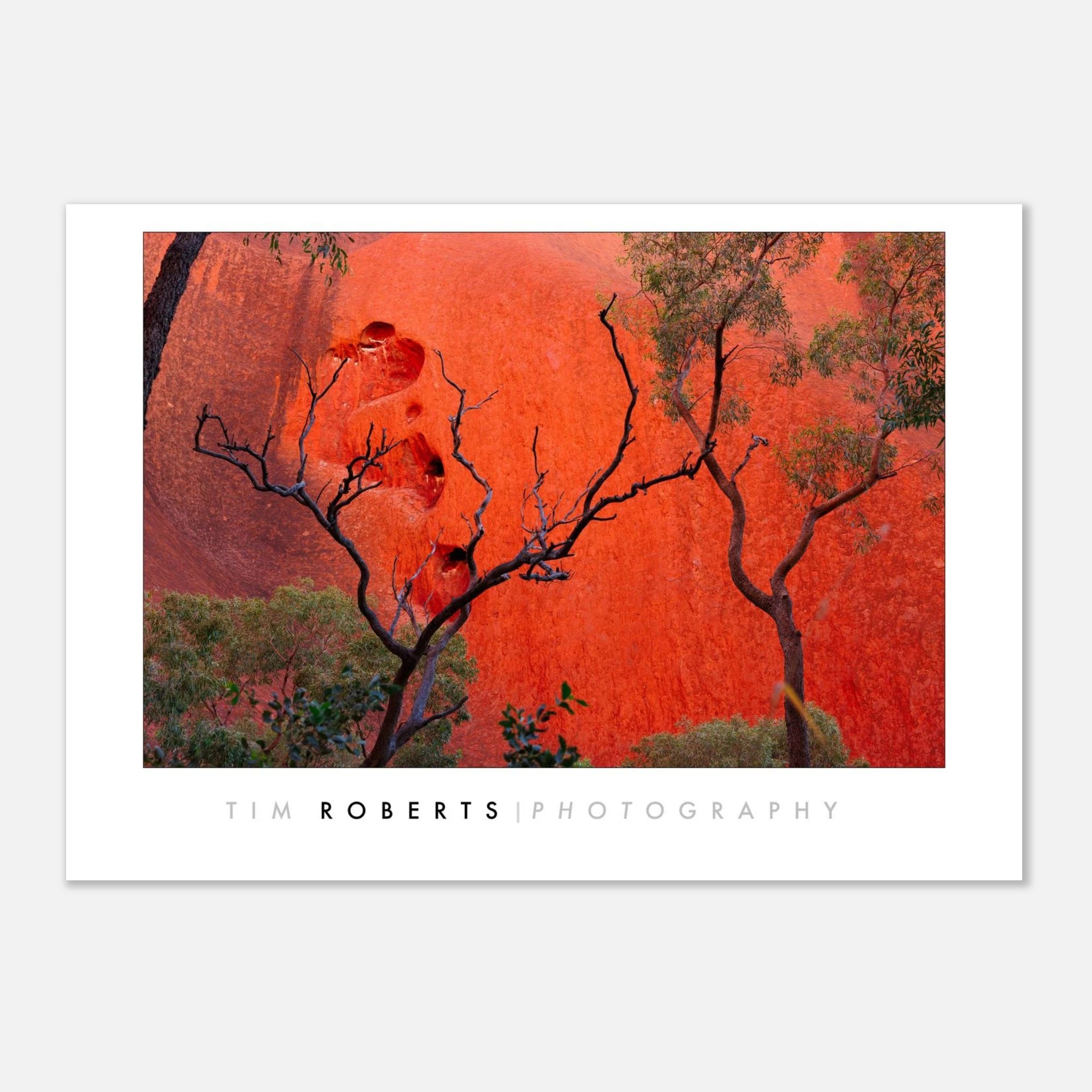 b367a9dc-e7b6-4367-8d18-e1b1448bdc87