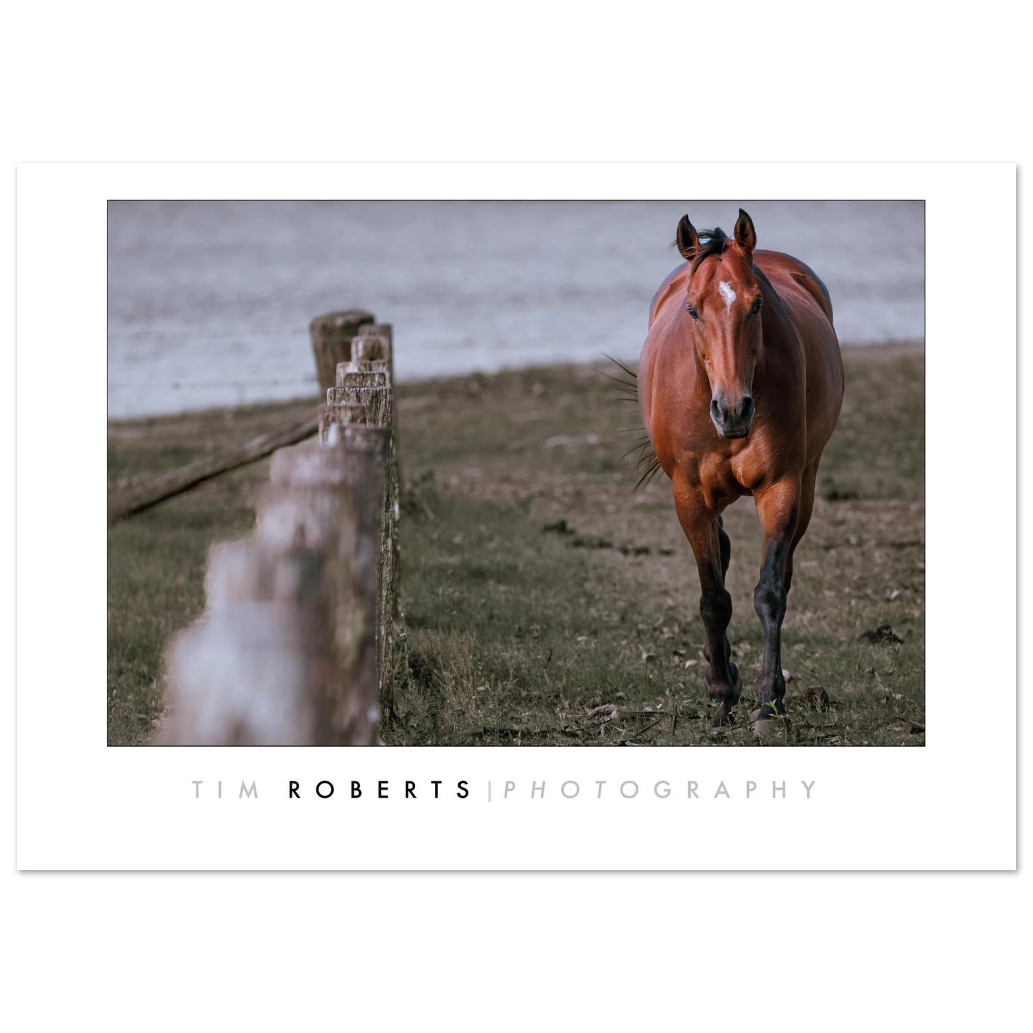 bbb64833-cc5d-4aa3-903f-81b361ec098f