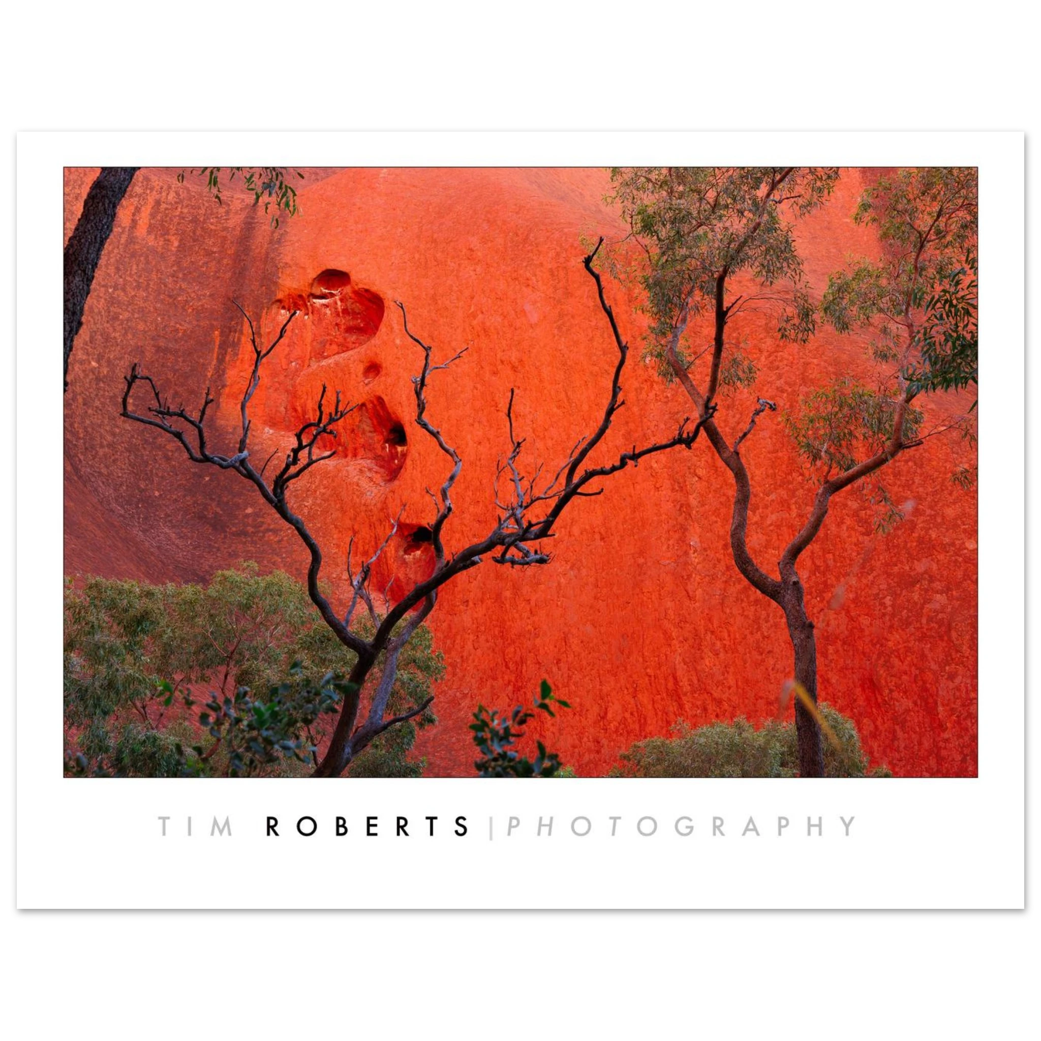 bca28f85-67e9-4294-a8a7-583b8f35f927