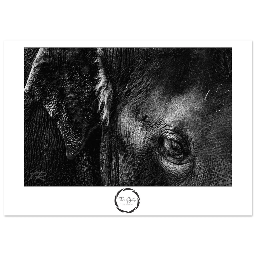 cf9d7021-0ca8-4fad-9911-0e6f60bb08df