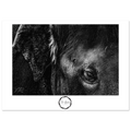cf9d7021-0ca8-4fad-9911-0e6f60bb08df