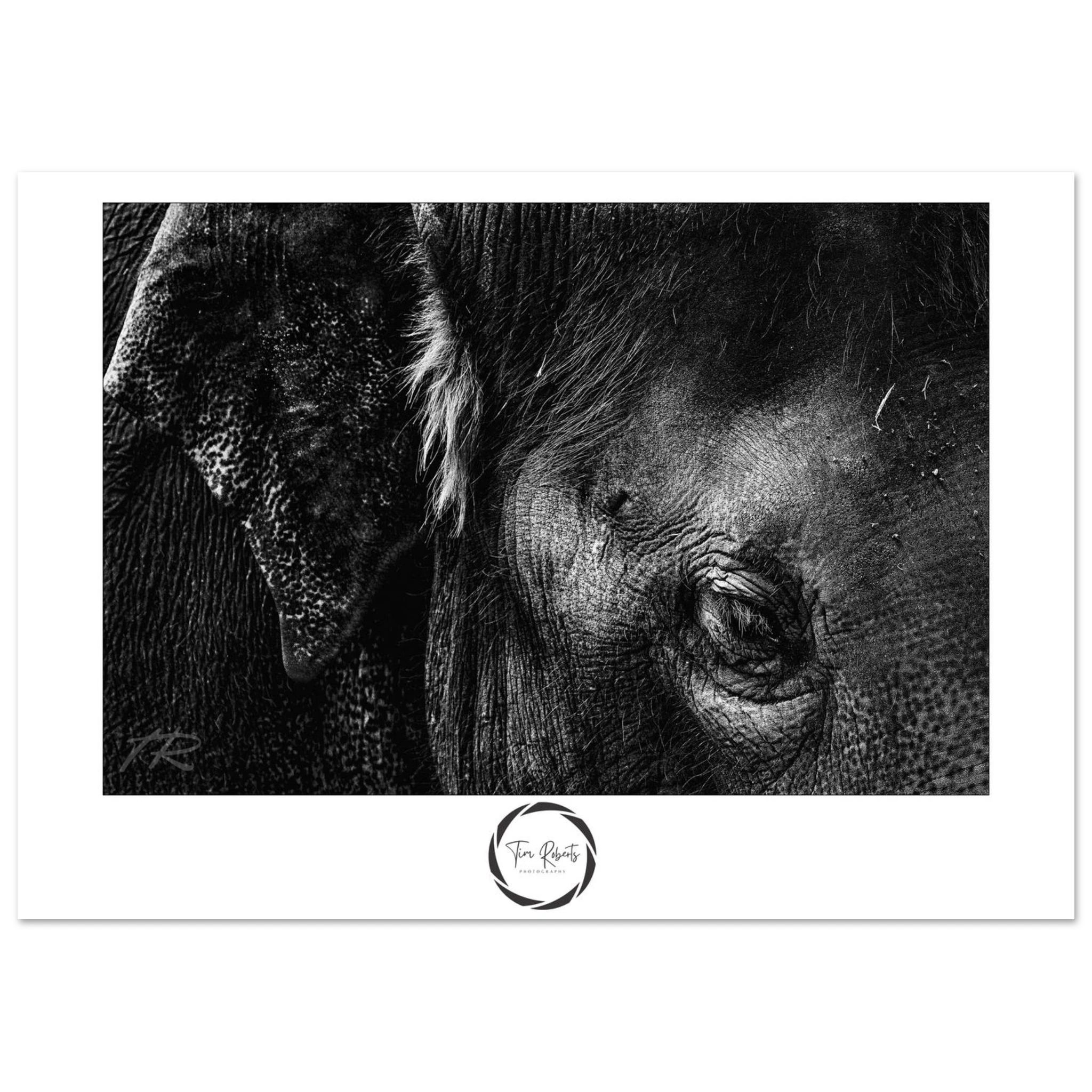 cf9d7021-0ca8-4fad-9911-0e6f60bb08df