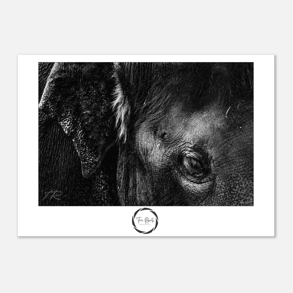 d103ab82-5cfa-4f60-976b-e909a66ae864