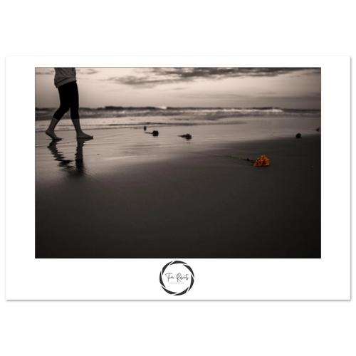 dae534f1-c2eb-4f4b-a04e-5e036cb0240f