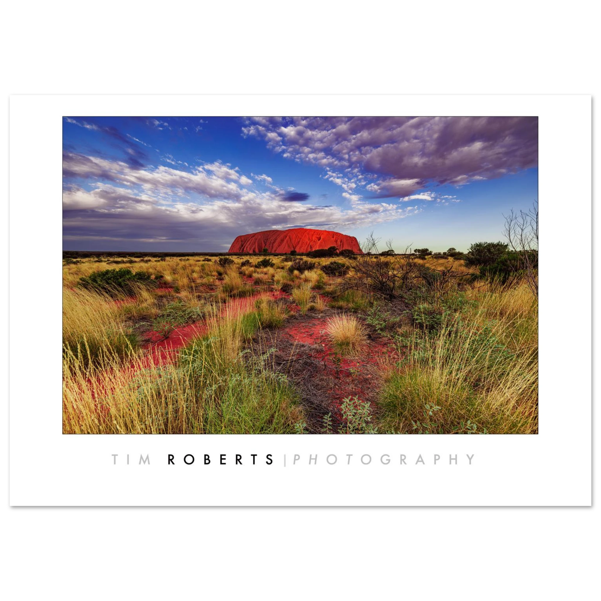 dcef1b72-5a6e-43d3-899c-495a1f094cdb