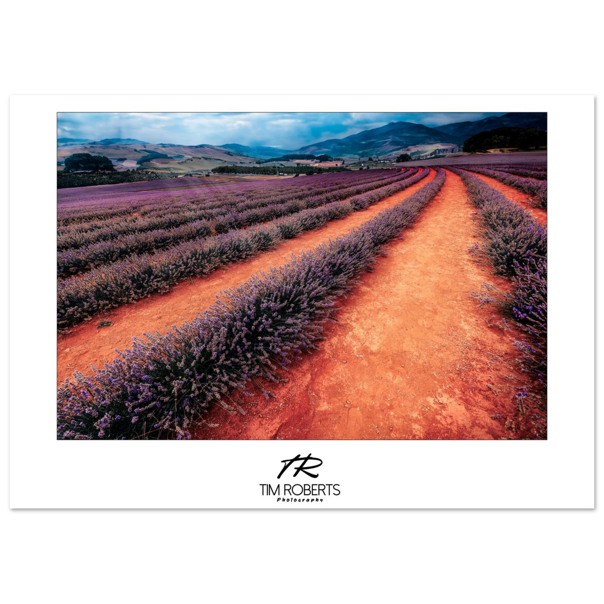 e125e941-513b-409b-8e14-2e8fb7d9fcec