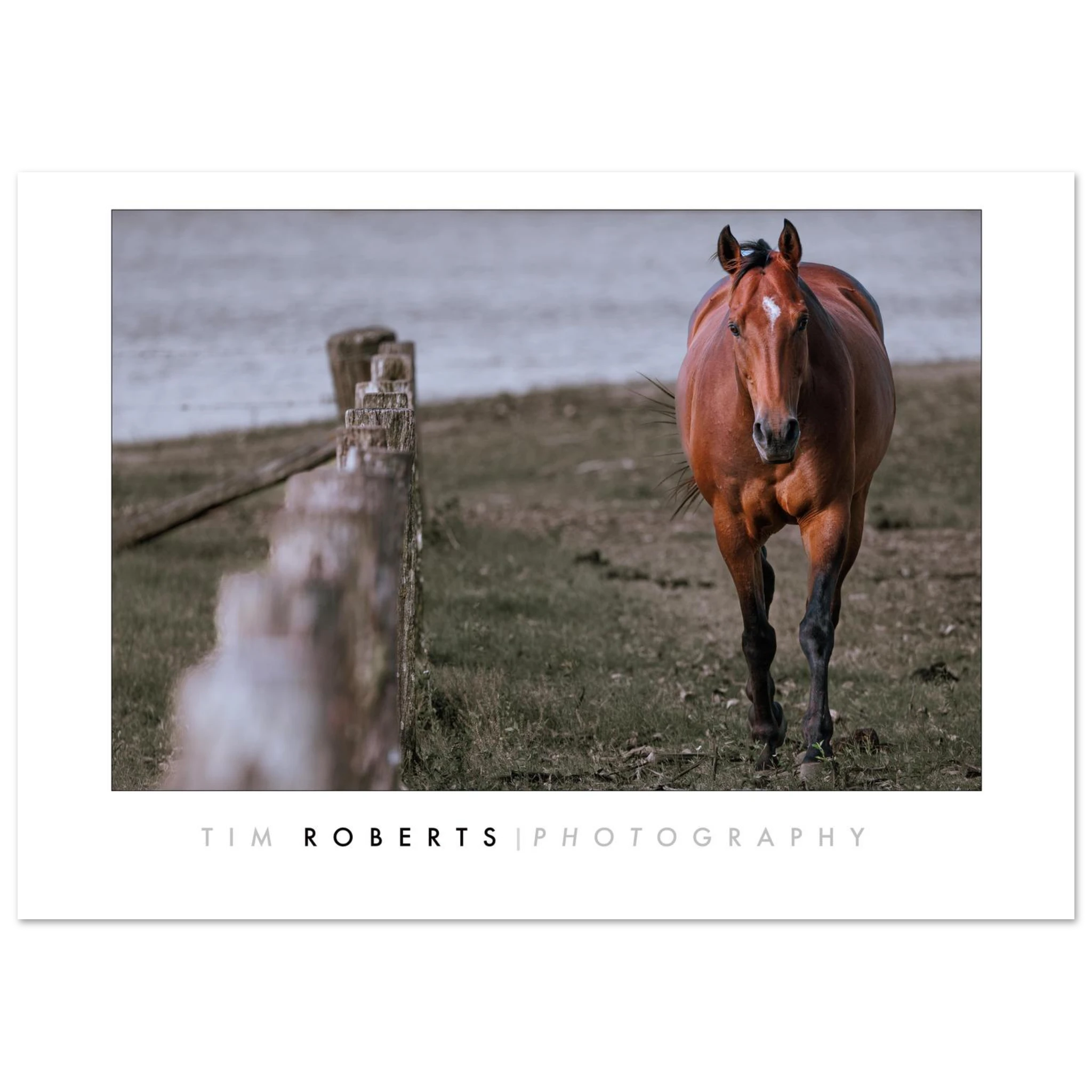 e492ceeb-5d30-4292-966f-a5d893761fc1