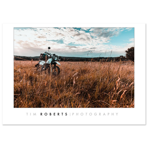 eef55d4b-571d-484e-b124-82572566330d