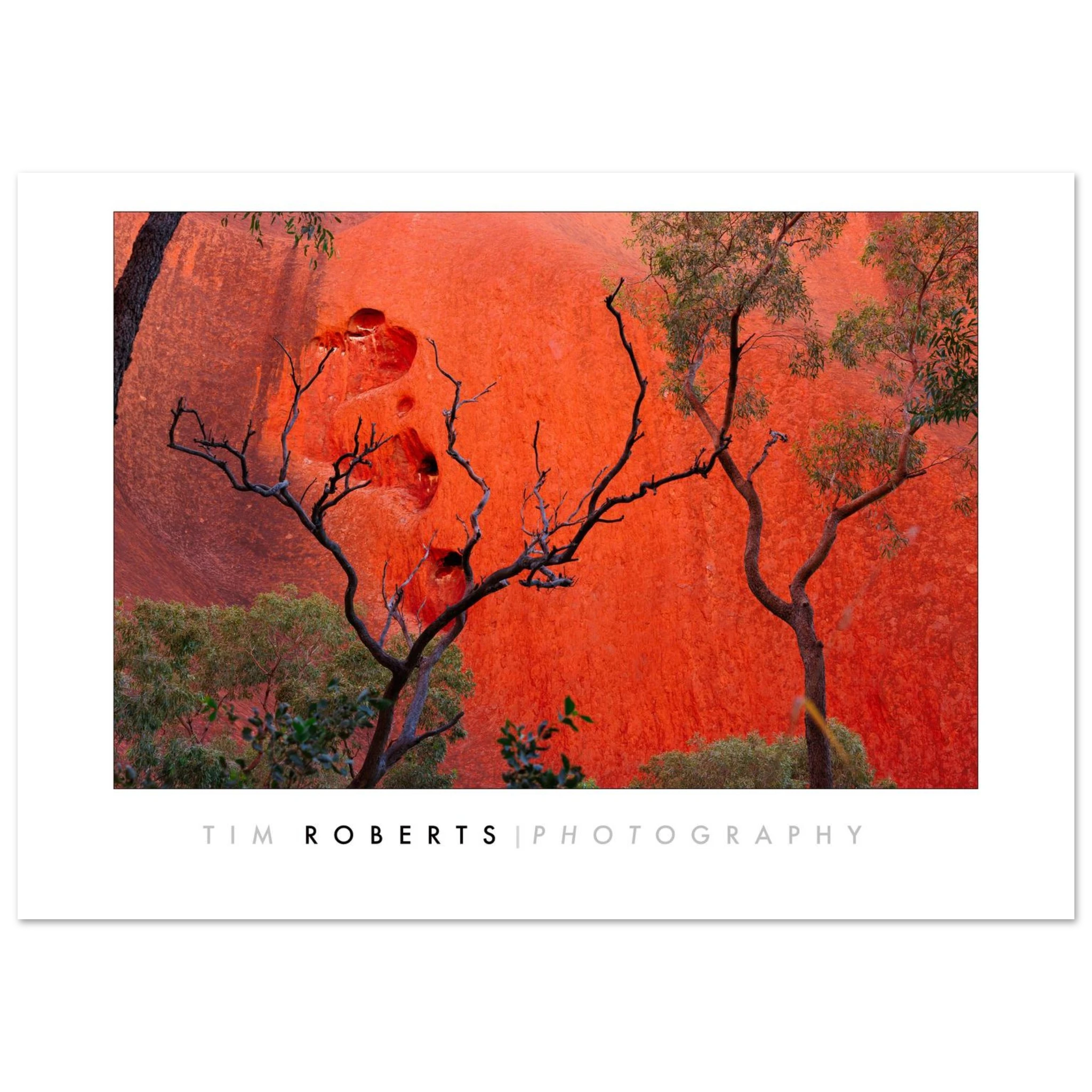 f487ffc5-4f9c-488f-ab98-95fe7495b086